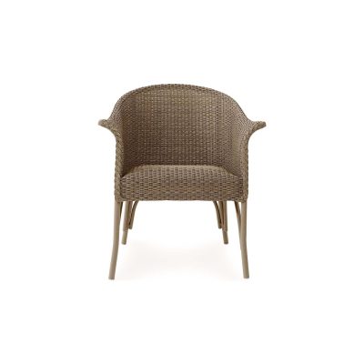 Timeless View Wicker Club Chair in Fawn By Lakeview